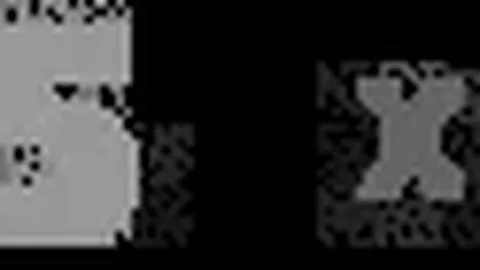 陈幸同击败伊藤美诚，挺进乒乓球四强